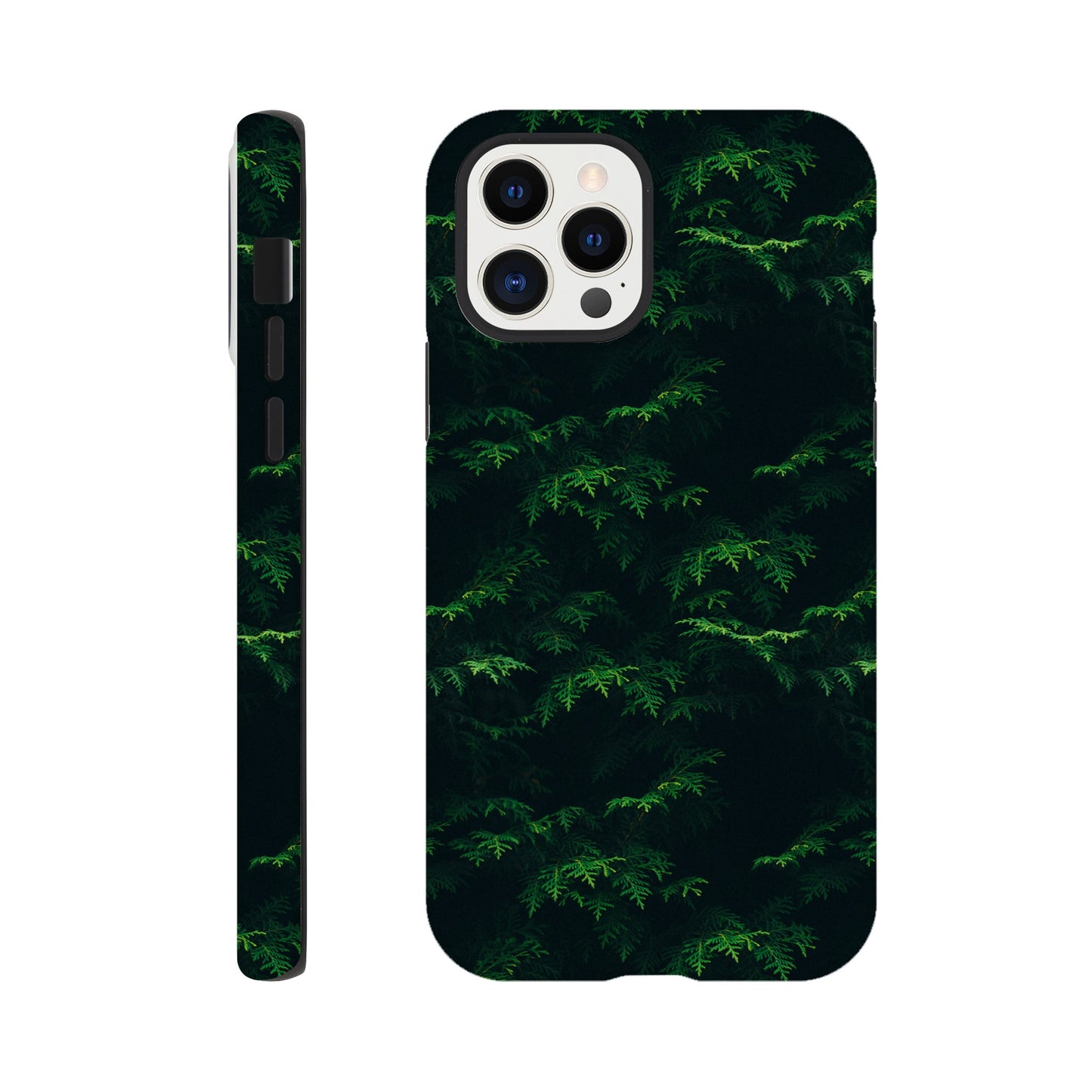 309171b5-14c5-4e8c-85e2-3f84129bdbe9