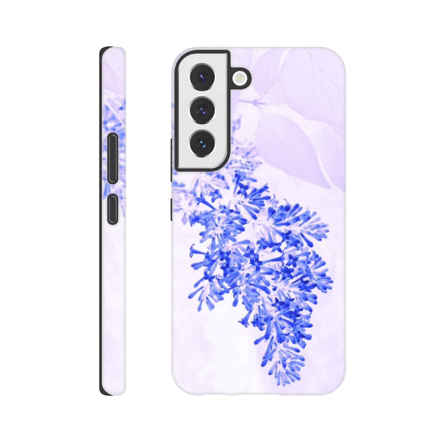 5558b036-d8d4-4064-a1ac-a26fac0aa969