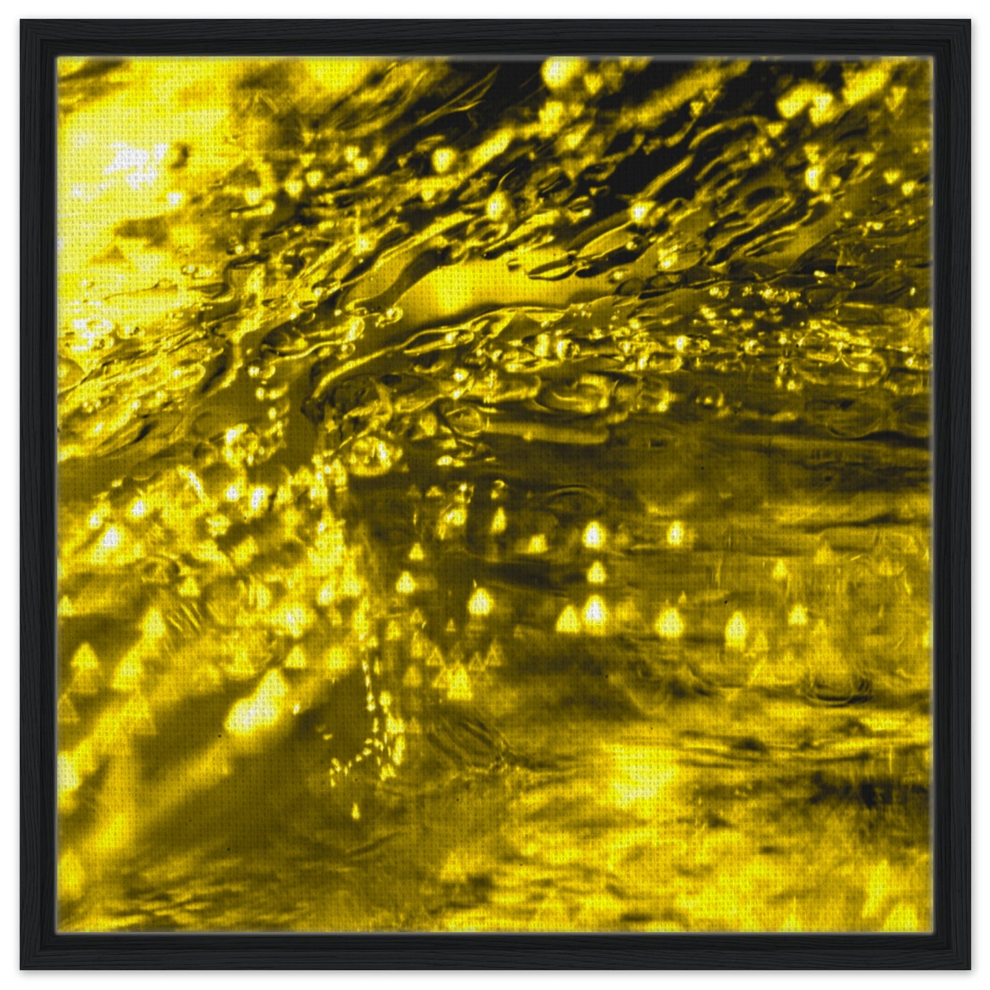 bc255a81-dae2-41d2-9f23-8d5883efac66