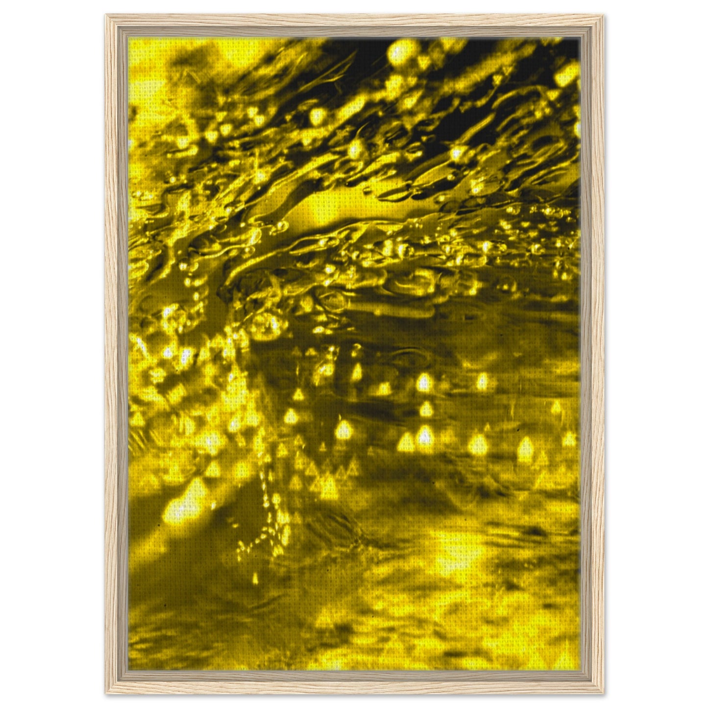 d0b97041-c5a9-49ff-a38d-681ea451bc5e