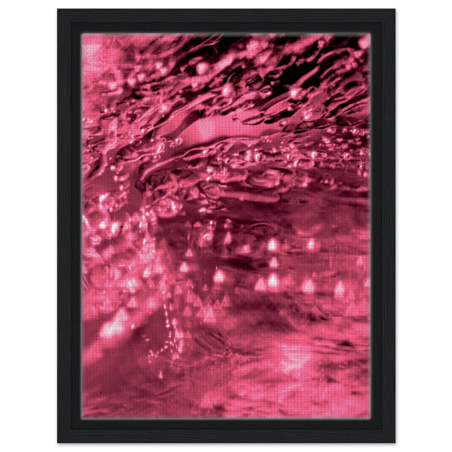 d751e72b-ea18-4f95-80f6-b07c5d5e3cfd